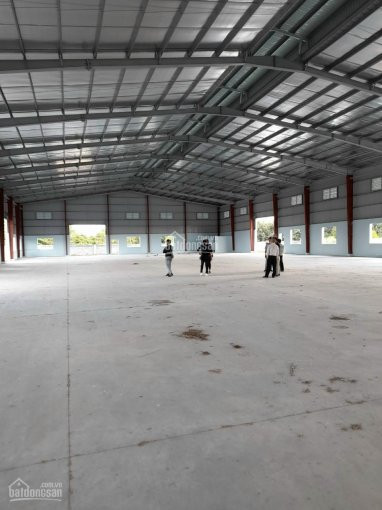 Xưởng Cho Thuê 2300m2 An Phú, Thuận An, Bình Dương 60k/m2/th 1