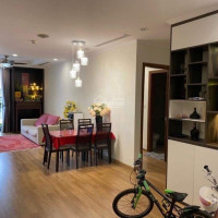 Bán Căn 3pn 1185m2 Park Premium Times City Có Suất để Xe, Free Phí Dv, 51 Tỷ Bao Phí