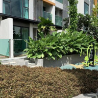 Chính Chủ Bán Nhanh Căn Sân Vườn 1pn + 1 Feliz En Vista, Dt: 713m2 Tầng 3a Hoàn Thiện, 46 Tỷ Lh 0931356879