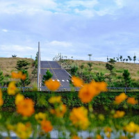Chính Chủ Bán Nhanh đất Nền Gần Bảo Lộc View Rừng Thông Hơn 20 Năm Tuổi, Sổ Hồng Công Chứng Ngay
