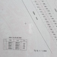 Chính Chủ Bán Nhanh Gấp đất Kdc Hương Lộ 5, P An Lạc, Q Bình Tân, Dt 84m2, Hướng đông, Giá 495 Tỷ