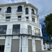 Chính Chủ Bán Nhanh Lô Shophouse Góc 171m2 Vinhomes Ocean Park Vỉa Hè Rộng Có Sân Vườn, Sát Chung Cư Và Trường Học