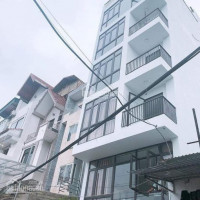 Chính Chủ Bán Nhanh Nhà 19 Liễu Giai - Ba đình, 60m2, 5 Tầng, Giá 139 Tỷ - Lh 0987746782