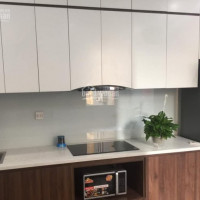 Chính Chủ Cần Bán Gấp Ccmn Cao Cấp Mễ Trì, Kinh Doanh Cho Thuê Dòng Tiền 9 Phòng Full Nội Thất