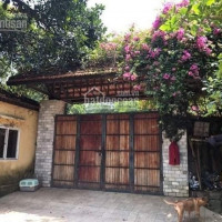 Chính Chủ Cần Chuyển Nhượng 4100m2 đất ở Hòa Sơn, Lương Sơn, Hòa Bình, Cách Tt Xuân Mai 2km