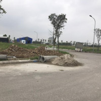 Chính Chủ Cho Thuê Nhanh 20000m2 đất Có Giấy Phép đầy đủ Mặt Tiền đường Container Tại đất Cuốc, Huyện Bắc Tân Uyên
