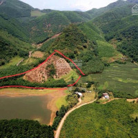 Cơ Hội Sở Hữu Ngay 16000m2 đất Rừng Sản Xuất Bám Mặt Hồ Tại Lương Sơn, Hòa Bình