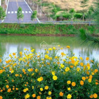 đẵng Cấp Xây Homestay Trên đồi Dốc Cực Kì đẹp , Pháp Lý An Toàn