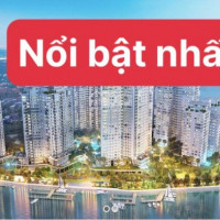 Giá Thật 100% Làm Việc Trực Tiếp Chủ Nhà - Giỏ Hàng Chuyển Nhượng đảo Kim Cương, 1pn 3 Tỷ, 2pn 5 Tỷ