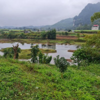 [hot] Cần Chuyển Nhượng 1 Ha đất Có 400 M2 đất ở Tại Xã Bình Sơn, Kim Bôi Giá đầu Tư