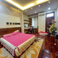 Nhà đẹp đón Tết - Phố Minh Khai-kinh Doanh-ô Tô-dt42m2*6, Giá 555 Tỷ   Lh: 0336661368