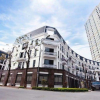 Siêu đô Thị Ngay Trung Tâm Thành Phố The Manhattan Vinhomes Grand Park, Siêu đô Thị