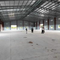 Xưởng Cho Thuê 2300m2 An Phú, Thuận An, Bình Dương 60k/m2/th