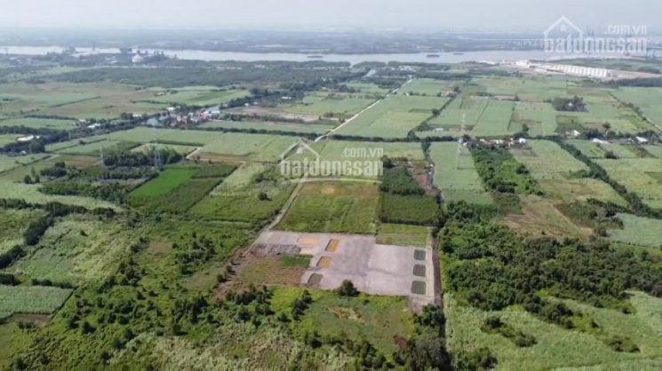 1000m2 đất Cln Phước Khánh, Nhơn Trạch Giá Chỉ 12 Tỷ Làm Nhà Vườn Sinh Thái 1