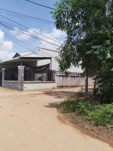 1203m2 đất Khu 9 Phú Hòa, Thủ Dầu Một, Bình Dương, Giá 8tr/m2, Lh 0904951962 6