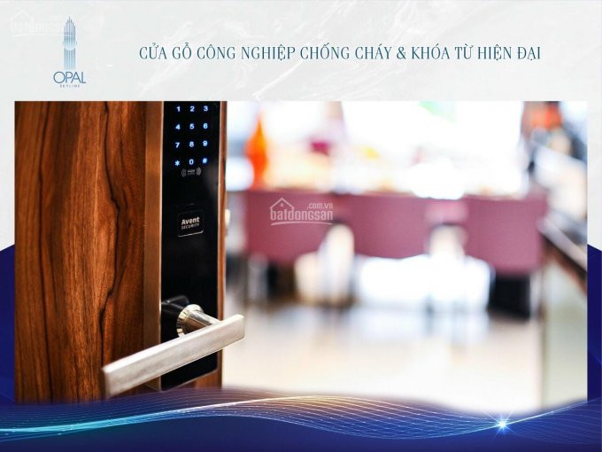 5 Suất Nội Bộ Cuối Cùng Opal Skyline Thanh Toán 25% đến Khi Nhận Nhà - Giá Chỉ Từ 28 Triệu/m2 2