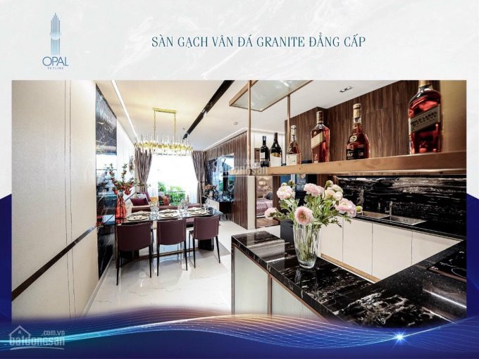 5 Suất Nội Bộ Cuối Cùng Opal Skyline Thanh Toán 25% đến Khi Nhận Nhà - Giá Chỉ Từ 28 Triệu/m2 5