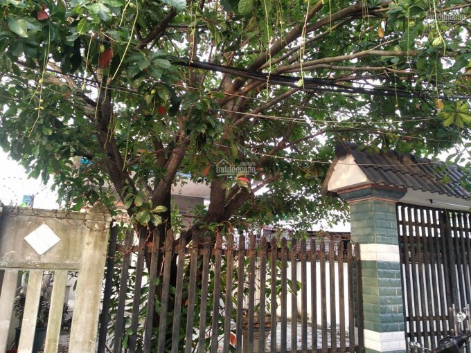 Bán Biệt Thự Nhà Vườn Tại ấp 2 đường 222 Giáp Dt8-bến Than, Xã Hòa Phú, Huyện Củ Chi 1