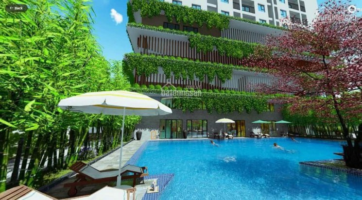 Căn Hộ Tại Quy Nhơn 60m2 Giá Chỉ 1,1 Tỷ Tháng 5/2021 Bàn Giao Nhà Gọi: 0979297444 3