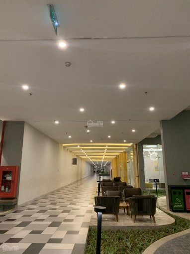 Chính Chủ Bán Gấp Chung Cư Seasons Avenue, 3pn, Cửa đn, Giá Bán 31 Tỷ, View Bể Bơi Vô Cực 3