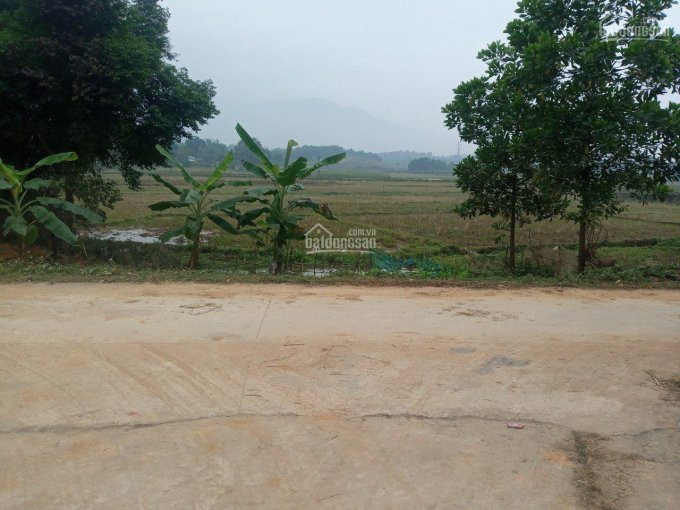 Chính Chủ Bán Nhanh 2681m2 đất Nghỉ Dưỡng View đẹp Tại Xã Nhuận Trạch Huyện Lương Sơn Hoà Bình 1