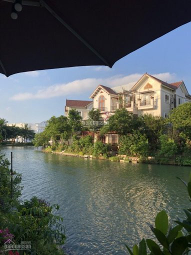 Chính Chủ Bán Nhanh Bt Hoa Lan 348m2, Rẻ Quạt Ngã 3 Sông, đơn Lập, 29 Tỷ, Gần Alamz, Vinhomes Riverside: 0971861111 1