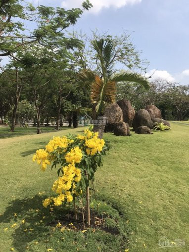 Chính Chủ Bán Nhanh Căn Hộ 3 Phòng Ngủ Chung Cư Garden Gate, Q Phú Nhuận 8