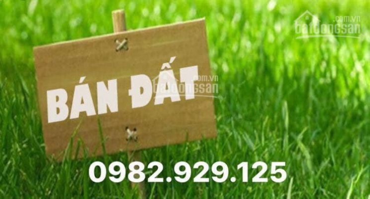 Chính Chủ Bán Nhanh đất Biệt Thự đỉnh Long Thành Phố Hải Dương 1