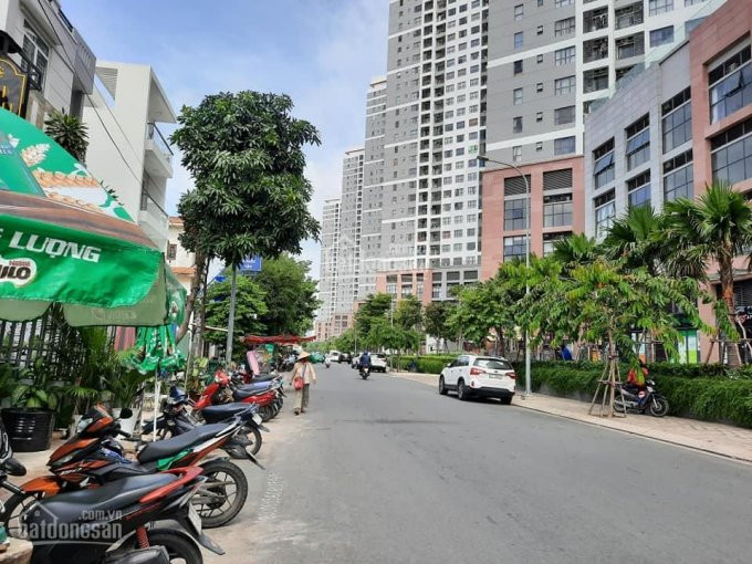 Chính Chủ Bán Nhanh Gấp Căn Hộ The Sun Avenue, Quận 2 View Trực Diện Sông Tầng Cao Thoáng Mát 17