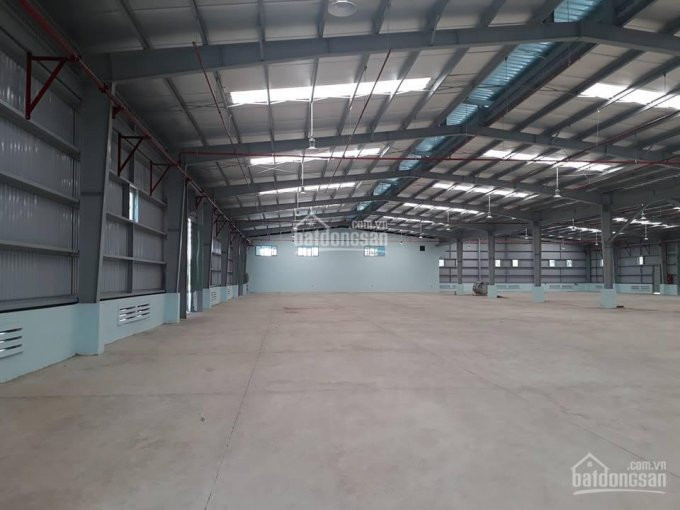 Chính Chủ Bán Nhanh Kho Xưởng Phường 16, Quận 8, Dt 140m2, 190m2, 250m2, 300m2, 420m2, 2300m2 1