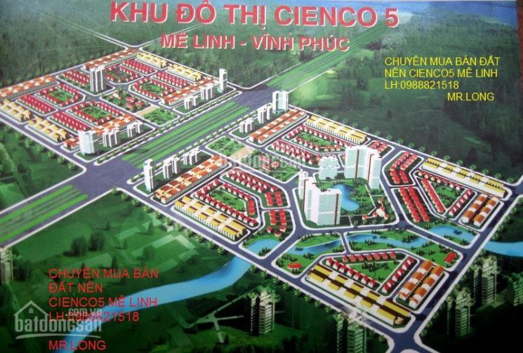 Chính Chủ Bán Nhanh Liền Kề Cienco 5 Huyện Mê Linh 100m2, Nhìn Sang Trường đại Học Tài Chính Mê Linh 1