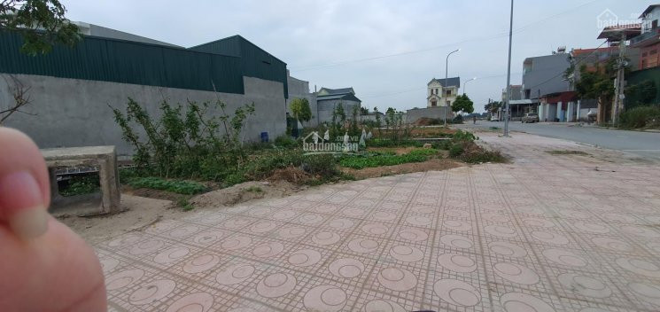 Chính Chủ Bán Nhanh Lô Dãn Dân Chè Hơn 80m2 Giá Rẻ 2