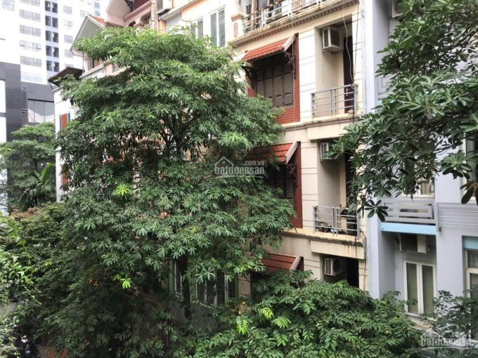 Chính Chủ Bán Nhanh Nhà 73m2, Mt 9m Vỉa Hè Rộng 6m Kinh Doanh Sầm Uất Phố Dương Khuê, Cầu Giấy Giá 14 Tỷ 1
