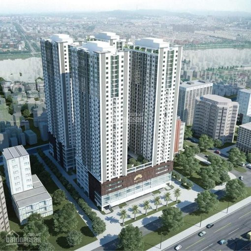 Chính Chủ Cần Bán Căn 1102, Căn 1 Pn, Dt 45m2, Thoáng Sáng Chỉ Cần Có Chưa đến 300tr ở Cc Tht New City 4