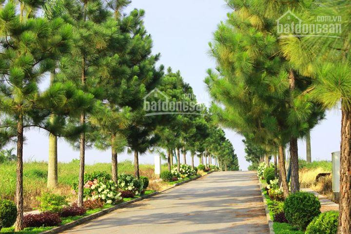 Chính Chủ Cần Bán Căn Biệt Thự The Phoenix Garden - Siêu đẹp - Giá Thỏa Thuận - Cam Kết Rẻ Nhất Thị Trường 1