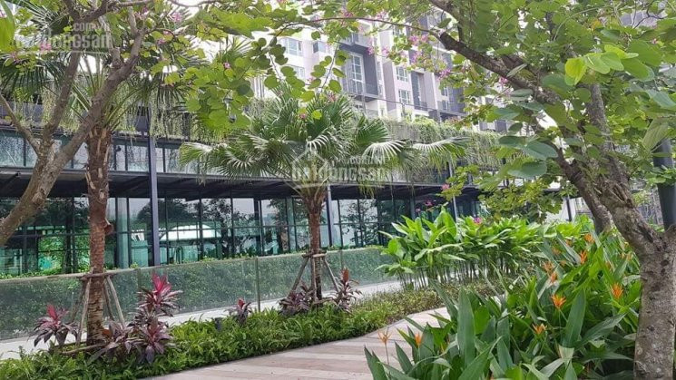 Chính Chủ Cần Bán Gấp Căn 4pn, Tháp Orchid Vista Verde, Căn Góc, View Bao đẹp Nhìn Chọn Thành Phố Và Sông Sg 5