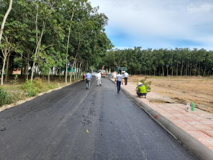 Chính Chủ Cần Bán Gấp Lô đất Ngay Trung Tâm Hành Chính Phú Mỹ Bà Rịa Vũng Tàu/ Lh:0902447244 5