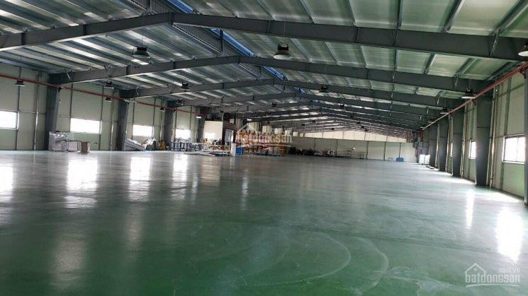 Chính Chủ Cho Thuê Kho Xưởng Kcn Quế Võ 1, Qv3, Dt 450m2, 800m2, 1600m2, 2800m2, 5500m2, 11000m2 4