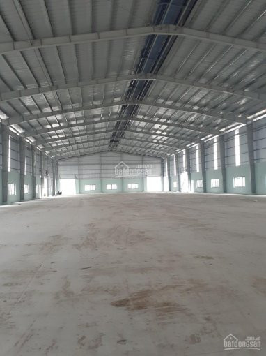 Chính Chủ Cho Thuê Nhanh Kho Xưởng đường Trần đại Nghĩa, Bình Tân - Diện Tích: 2200m2 Và 4500m2 1