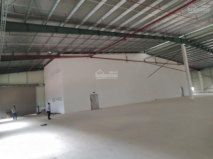 Chính Chủ Cho Thuê Nhanh Kho Xưởng Giá Rẻ  2000m2, 2600m2, 3200m2, 5400m2, 7200m2, 11000m2 Kcn Yên Phong Bắc Ninh 5