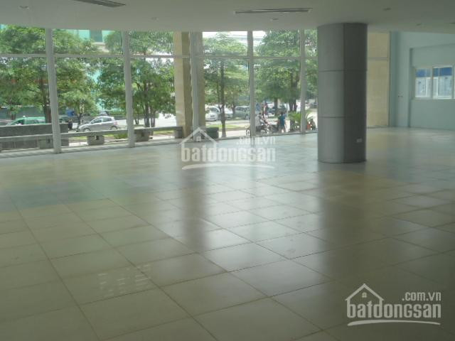 Chính Chủ Cho Thuê Nhanh Văn Phòng Khu Linh đàm, Quận Hoàng Mai 60m2, 110m2, 190m2, 300m2, Giá 140 Nghìn/m2/th 1