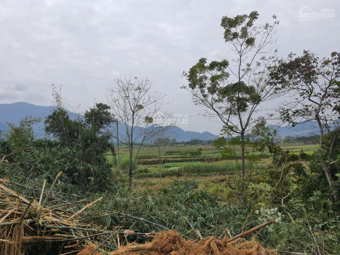 Chính Chủ Em Bán Lô Hoa Hậu Bám Suối, View Cực Nét, 3 Mặt Thoáng 1