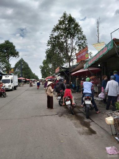 Chủ đầu Tư Becamex Mở Bán Thanh Lý Một Số Nền đất Trong Kđt Mới Mỹ Phước 3 Bình Dương Shr Bao Vay 4