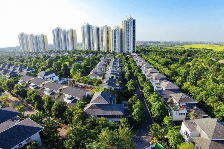 Chung Cư Rừng Cọ Ecopark Cần Bán, Cho Thuê Lh 0978001982 (không Mất Phí) 1