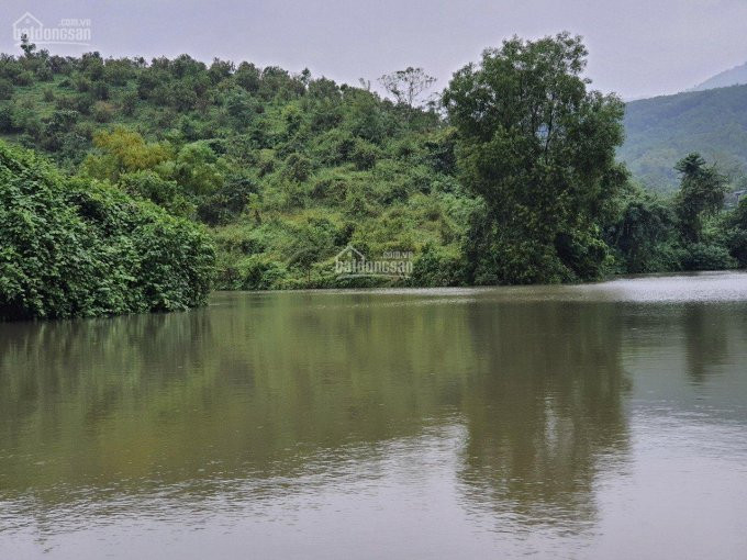 Cơ Hội Lớn Cho Các Nhà đầu Tư 21700m2 Có 1000m2 đất Thổ Cư Tại Kim Bôi, Hòa Bình 4