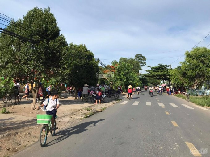 đất Gò Dầu Tây Ninh Mặt Tiền Nhựa Thông, Dân Cư đông Thổ Cư Có Sẵn 6