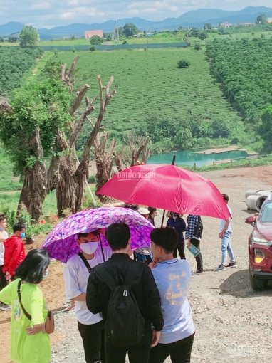 đất Nền Gần đà Lạt đặc Biệt Thơm Bơ Nhanh Tay Lên Quý Vị ơi 1