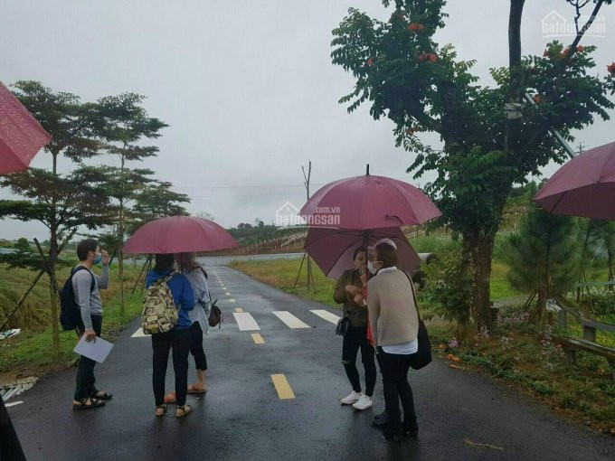 đất Nền Gần đà Lạt đặc Biệt Thơm Bơ Nhanh Tay Lên Quý Vị ơi 6