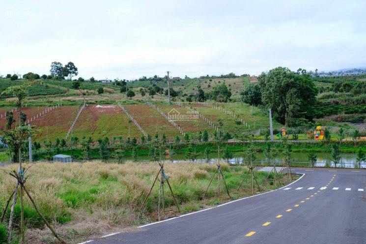 đất Nền Ngay Trung Tâm Thành Phố Bảo Lộc, Hạ Tầng Bài Bản, Sổ Sách Pháp Lý An Toàn 2