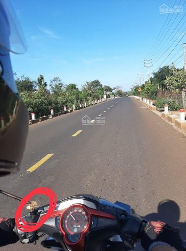 đất Sào đồng Nai Cách Tpbiên Hoà 10km 2